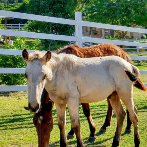 Meet your Posher, Whitney - Picture 5 of 8